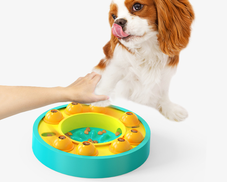 Dog using BrainyBowl