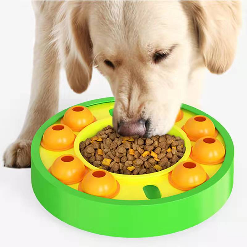 Dog eating from the BrainyBowl slow feeder puzzle