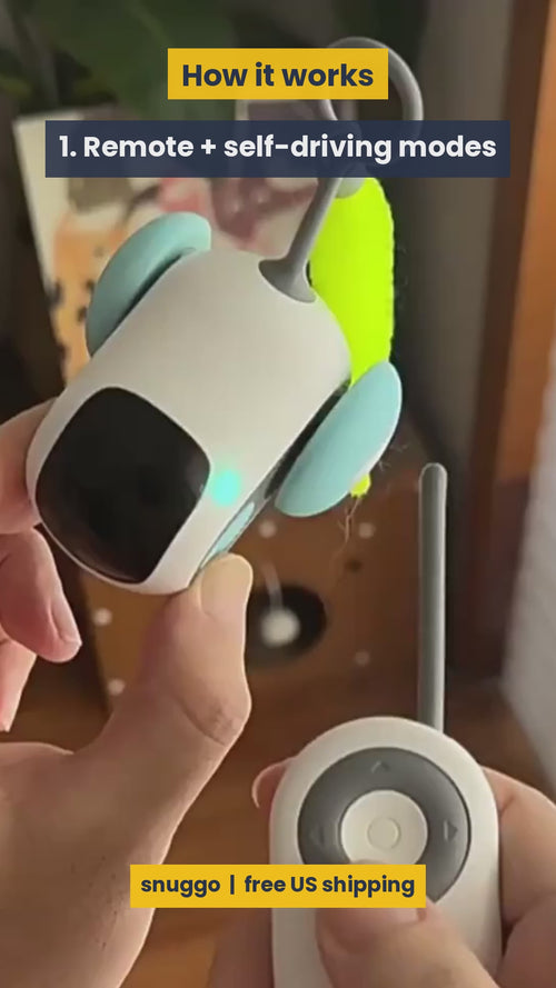 ChaseBot interactive cat toy car in action - how it works